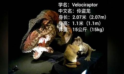 dinosaur养恐龙游戏攻略_养恐龙 游戏